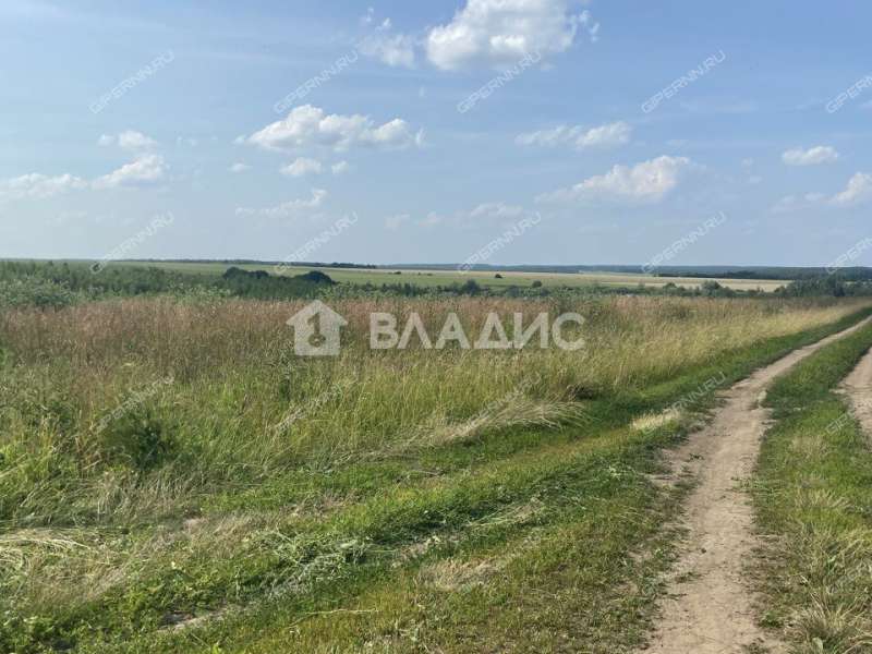 земельный участок 23 000 соток Центральная улица посёлок Мирный